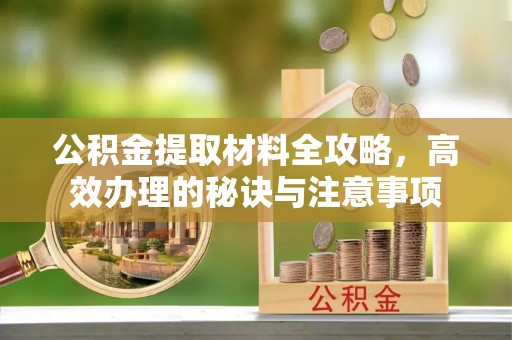 细河公积金提取材料全攻略，高效办理的秘诀与注意事项