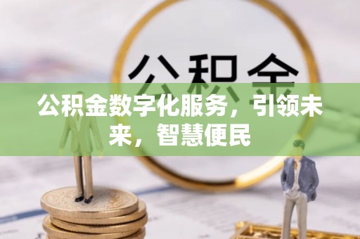 细河公积金数字化服务，引领未来，智慧便民