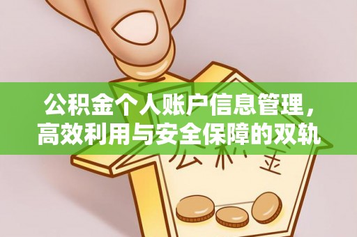 细河公积金个人账户信息管理，高效利用与安全保障的双轨并行