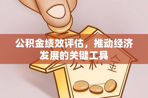 细河公积金绩效评估，推动经济发展的关键工具