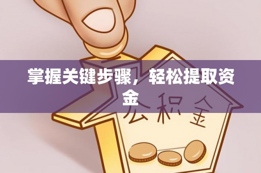 细河掌握关键步骤，轻松提取资金