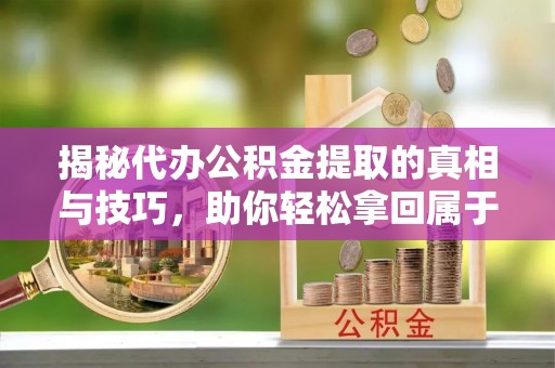 细河揭秘代办公积金提取的真相与技巧，助你轻松拿回属于你的钱