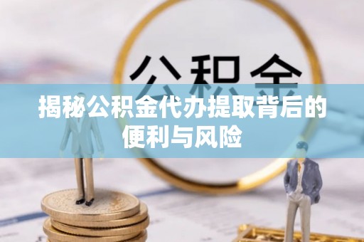 细河揭秘公积金代办提取背后的便利与风险