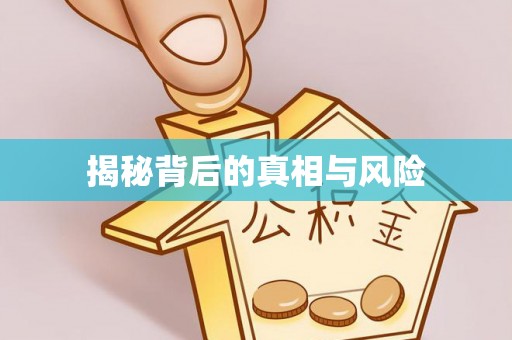 细河揭秘背后的真相与风险
