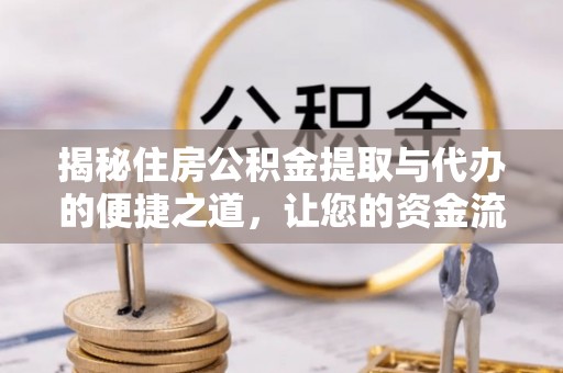 细河揭秘住房公积金提取与代办的便捷之道，让您的资金流动更高效