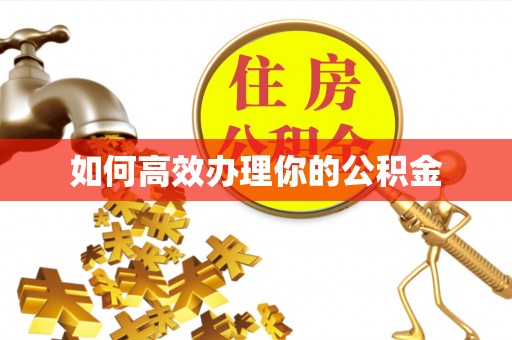 细河如何高效办理你的公积金