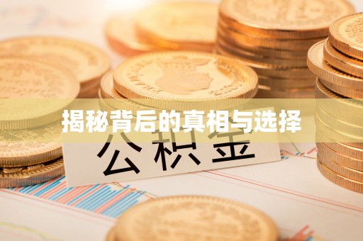 细河揭秘背后的真相与选择