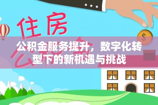 细河公积金服务提升，数字化转型下的新机遇与挑战
