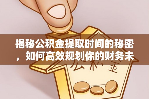 细河揭秘公积金提取时间的秘密，如何高效规划你的财务未来