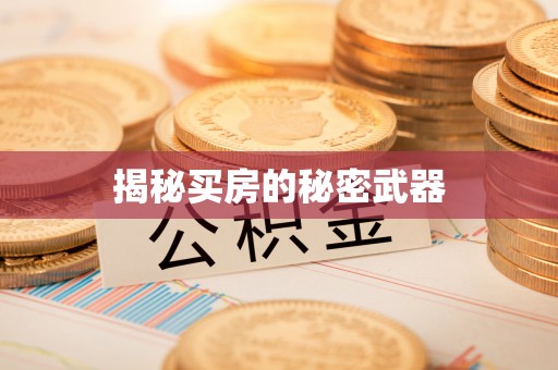 细河揭秘买房的秘密武器