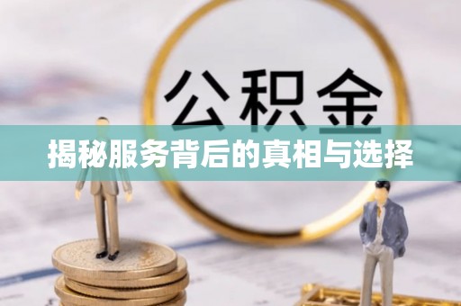 细河揭秘服务背后的真相与选择