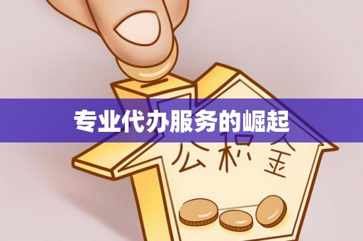 细河专业代办服务的崛起