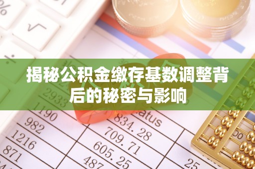 细河揭秘公积金缴存基数调整背后的秘密与影响