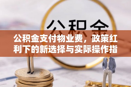 细河公积金支付物业费，政策红利下的新选择与实际操作指南