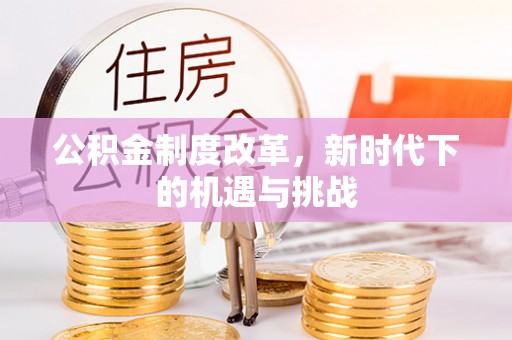 细河公积金制度改革，新时代下的机遇与挑战