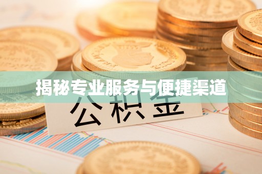 细河揭秘专业服务与便捷渠道