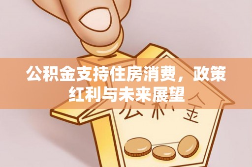 细河公积金支持住房消费，政策红利与未来展望