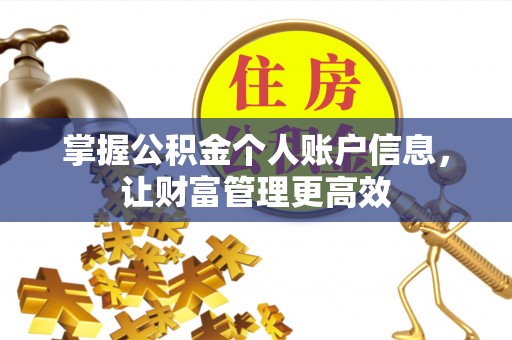 细河掌握公积金个人账户信息，让财富管理更高效