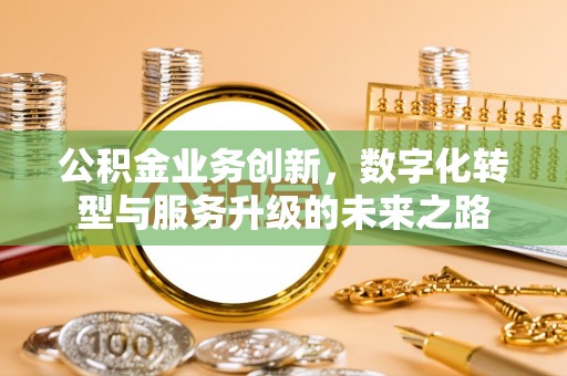 细河公积金业务创新，数字化转型与服务升级的未来之路