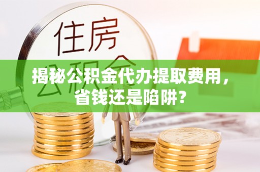 细河揭秘公积金代办提取费用，省钱还是陷阱？