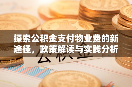 细河探索公积金支付物业费的新途径，政策解读与实践分析
