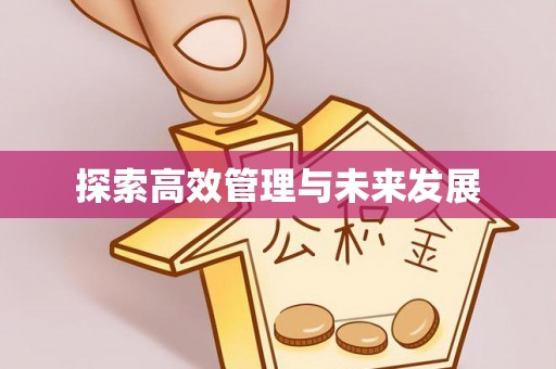 细河探索高效管理与未来发展