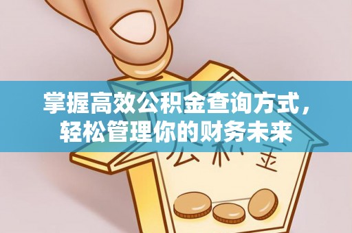 细河掌握高效公积金查询方式，轻松管理你的财务未来