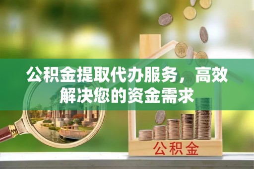 细河公积金提取代办服务，高效解决您的资金需求