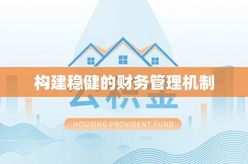 细河构建稳健的财务管理机制