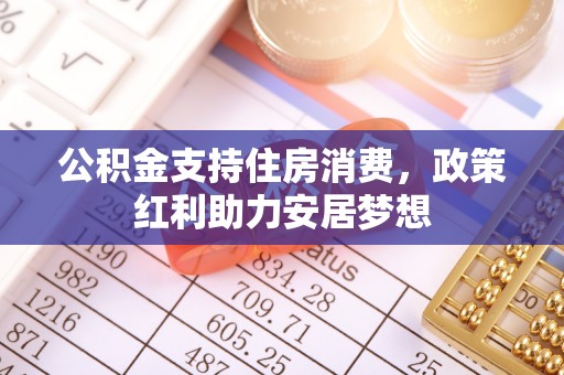 细河公积金支持住房消费，政策红利助力安居梦想