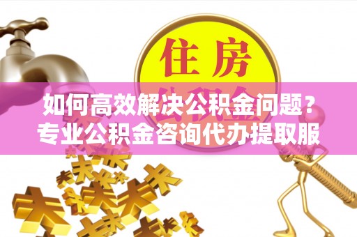 细河如何高效解决公积金问题？专业公积金咨询代办提取服务来帮你