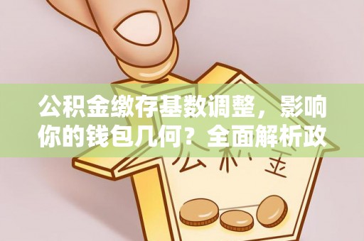 细河公积金缴存基数调整，影响你的钱包几何？全面解析政策与实际收益