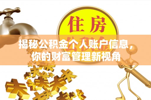 细河揭秘公积金个人账户信息，你的财富管理新视角