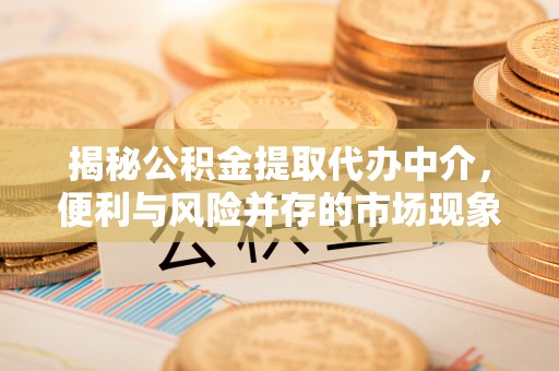 细河揭秘公积金提取代办中介，便利与风险并存的市场现象