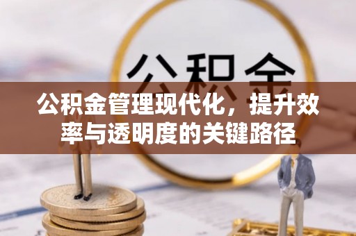 细河公积金管理现代化，提升效率与透明度的关键路径