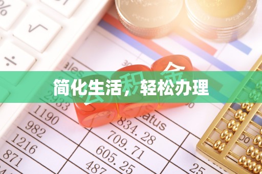 细河简化生活，轻松办理