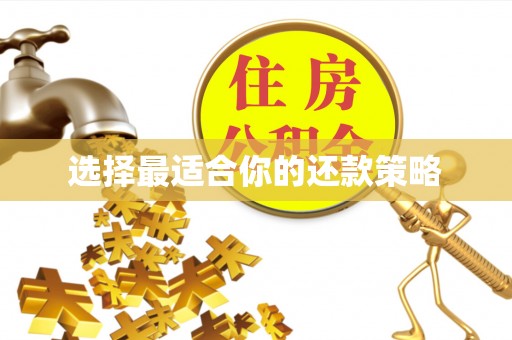 细河选择最适合你的还款策略